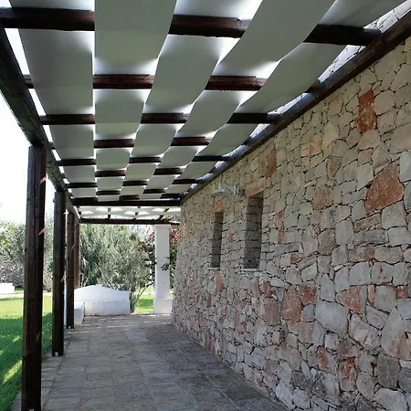 Monacelle Alliste